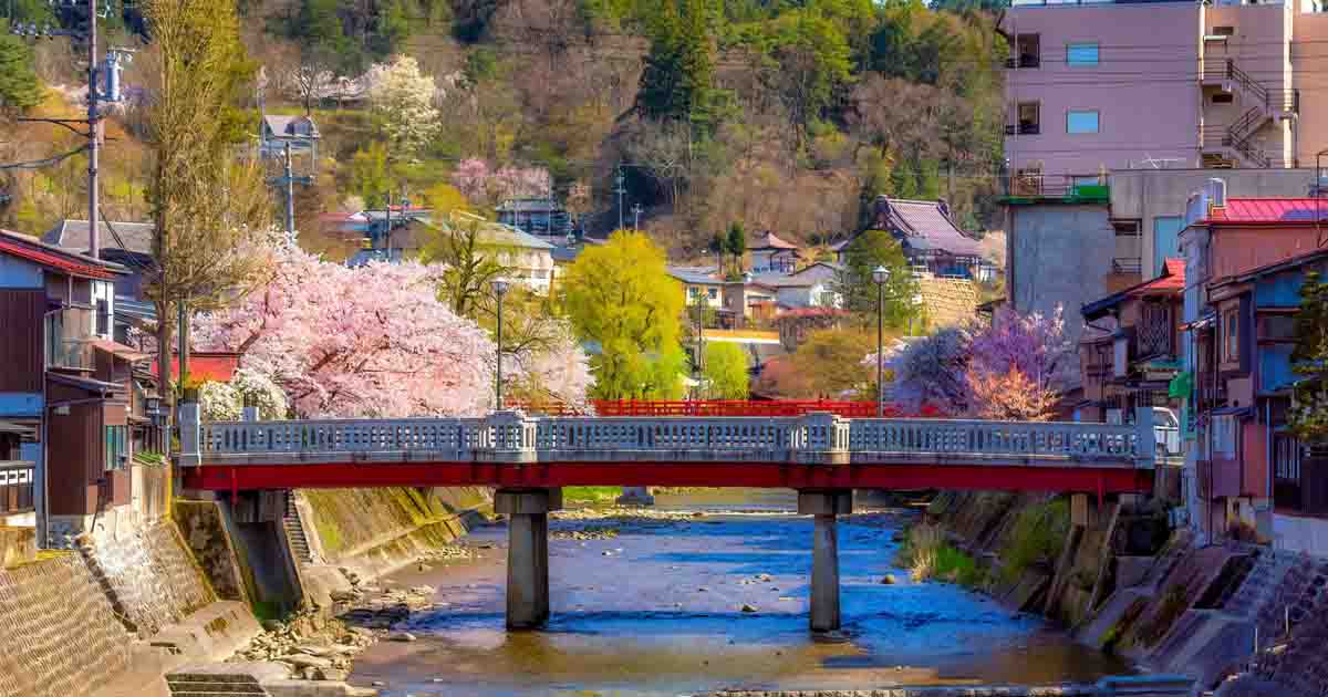 高山陣屋＆宮川朝市ツアー 2024年3月〜4月｜米国のお客様をご案内