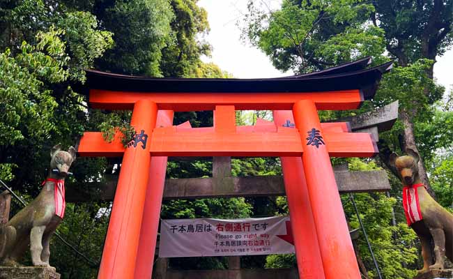 鳥居をくぐる