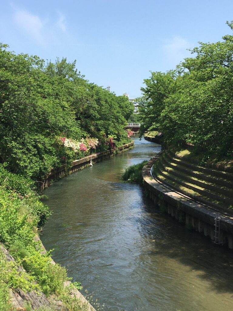 いたち川