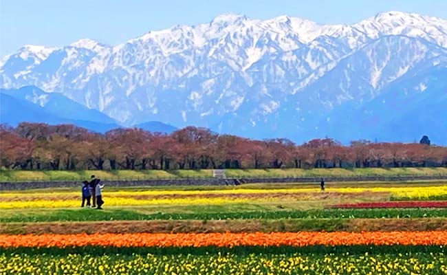 朝日町｜太古の息吹を感じられる縄文遺跡の町